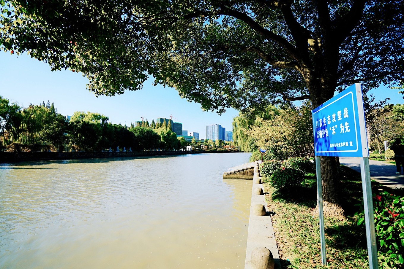 嘉兴的网红打卡地,一到秋天就美成画,游客都纷纷来拍照