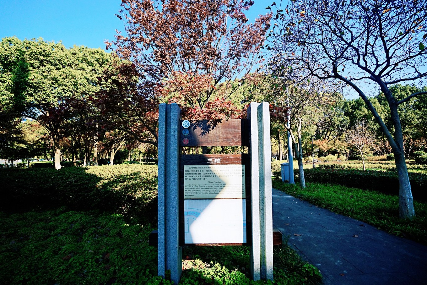 嘉兴的网红打卡地,一到秋天就美成画,游客都纷纷来拍照