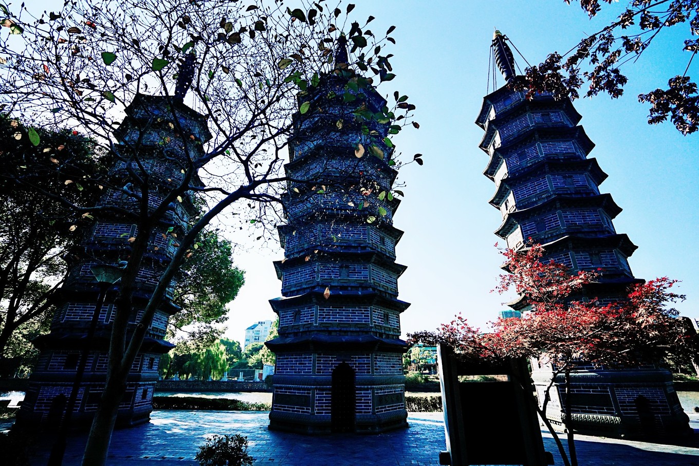 嘉兴的网红打卡地,一到秋天就美成画,游客都纷纷来拍照