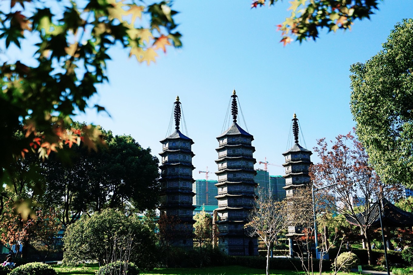 嘉兴的网红打卡地,一到秋天就美成画,游客都纷纷来拍照