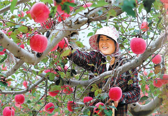 为特色“陇货”打开资本市场的大门——郑州商品交易所服务甘肃农特产品发展综述