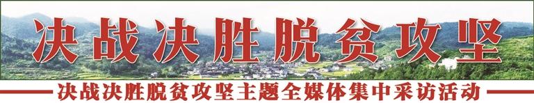 《无极五注册开户_蓬勃生长的美丽生活 ——陇原大地上的脱贫故事蓬勃生长的美丽生活 ——陇原大地上的脱贫故事》