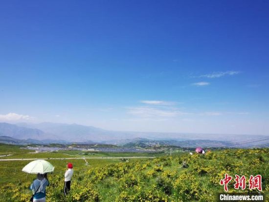 2020年7月7日，甘肃省临夏州积石山县境内，生态环境逐渐恢复，小黄花开遍山间。(资料图) 殷春永 摄
