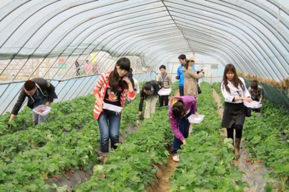 微信图片_202012310925443.jpg