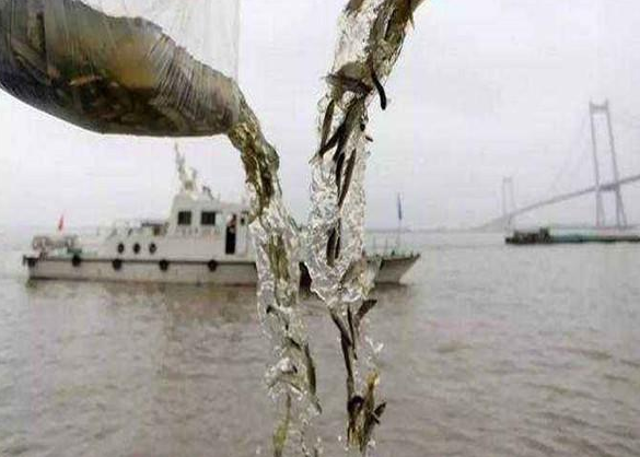 长江流域重点水域“十年禁渔”启动仪式陇南举行