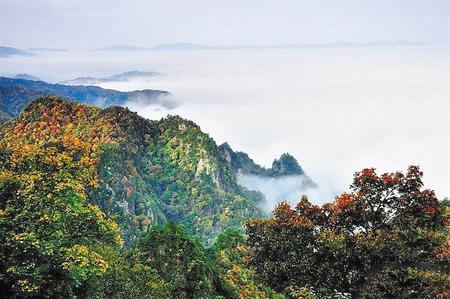 走进渭河风情线