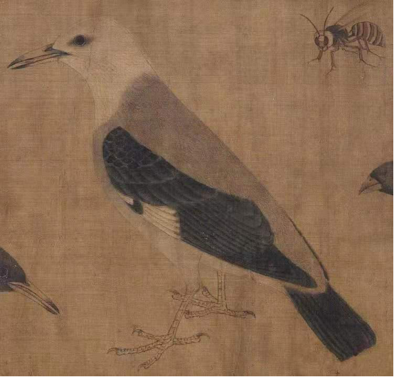 袁思陶:浅谈中国花鸟画蕴含的生命精神