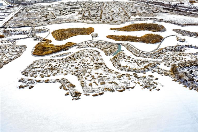 张掖国家湿地公园雪景如画