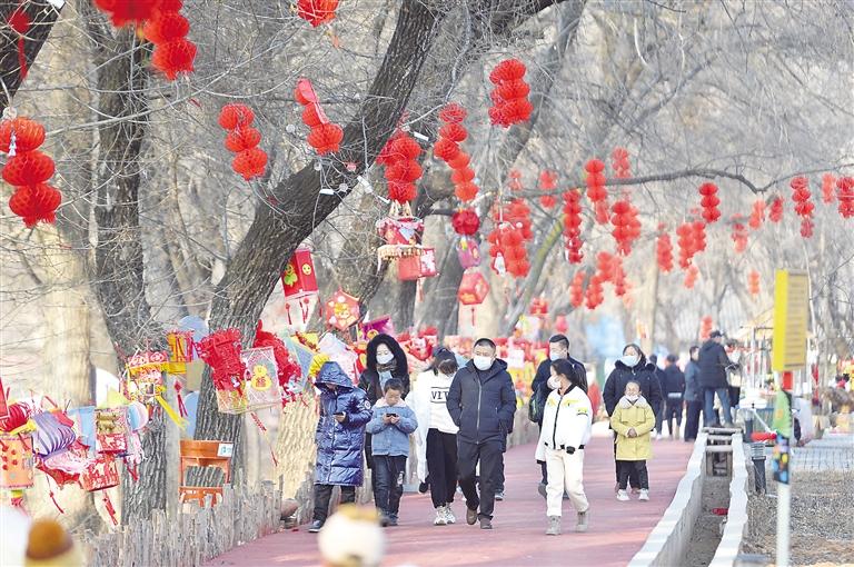 市民在临夏市南龙镇妥家村赏灯游览