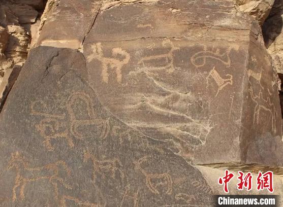 走进大麦地岩画:探访刻在石头上的“无字天书”