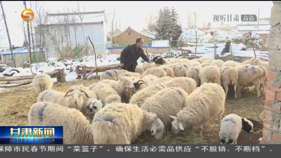 《无极五平台首页_甘肃：巩固脱贫成果不松劲 发展产业开启幸福门》