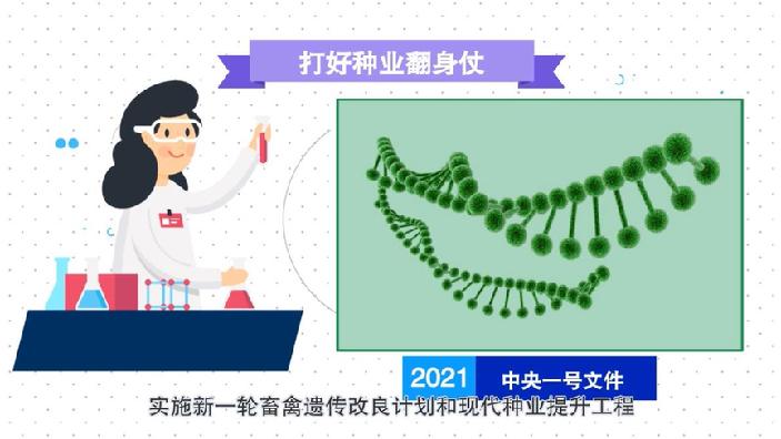 全面乡村振兴总动员!动画解读2021中央一号文件 全面乡村振兴总动员!动画解读2021中央一号文件
