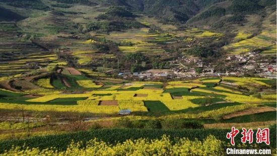 图为俯瞰油菜花盛开的西和县一处乡村。(资料图) 兰州城关区委宣传部供图