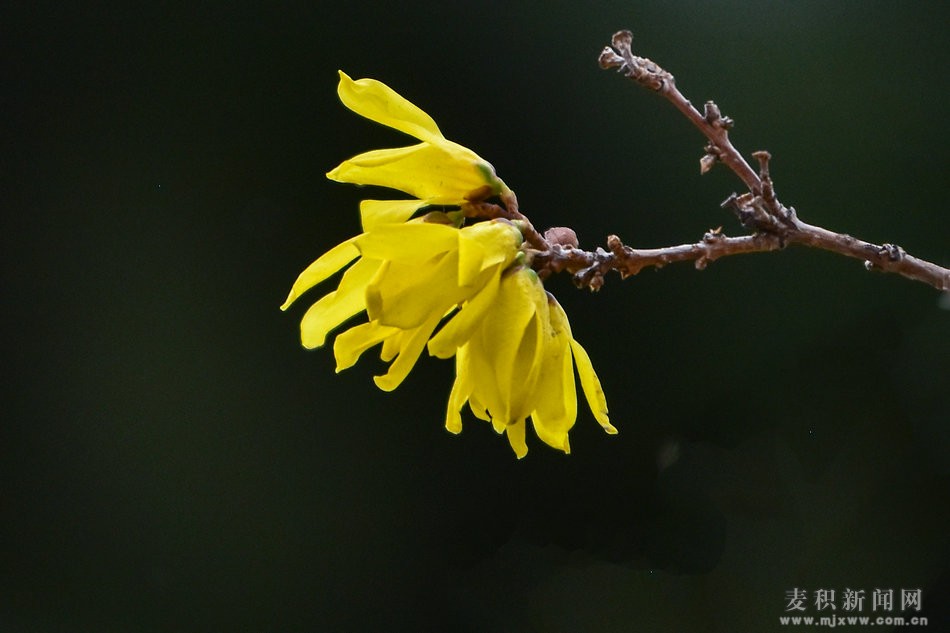 DSC_9851.JPG