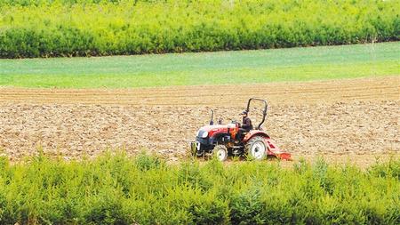 建沃野良田 助乡村振兴——甘肃省全力推进高标准农田建设见闻