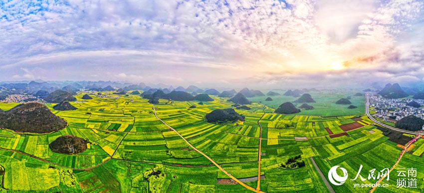 油菜花逐渐“染黄”了罗平大地，处处洋溢着春的气息。李荣伟摄