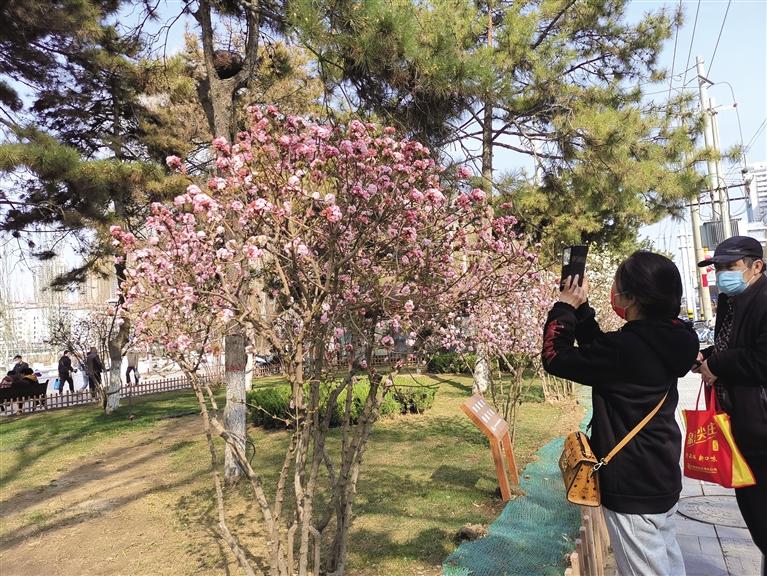 兰州：“第一朵花”开了！