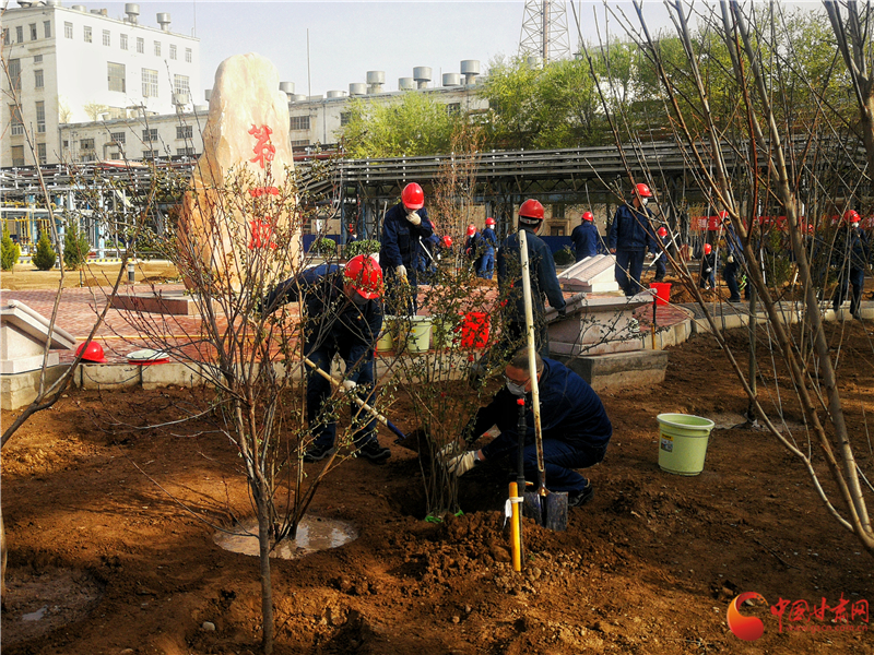 植树造林50年 兰州石化打造绿色生态石化城（图）