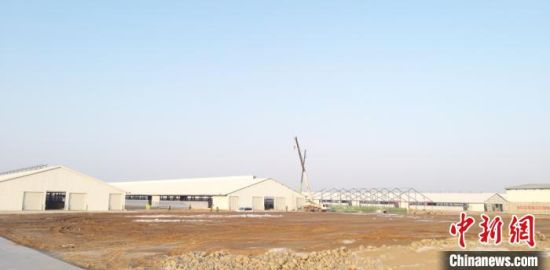 图为甘肃省武威市在建的工业园区。(资料图)武威市宣传部供图
