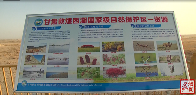 《无极五注册网站_刘长根在敦煌阿克塞调研引哈济党工程推进及生态环境保护等工作》