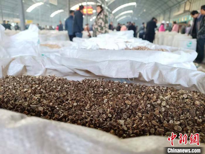 图为2020年11月初位于陇西县首阳镇的中药材交易市场。(资料图) 张婧 摄