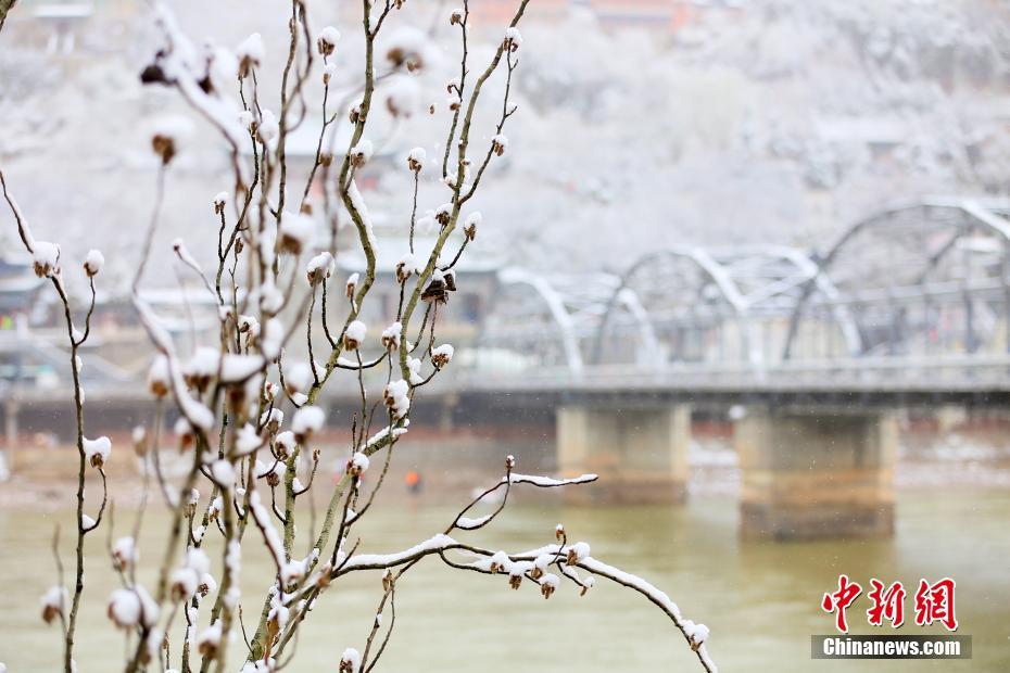 甘肃兰州：春雪“洗”尘