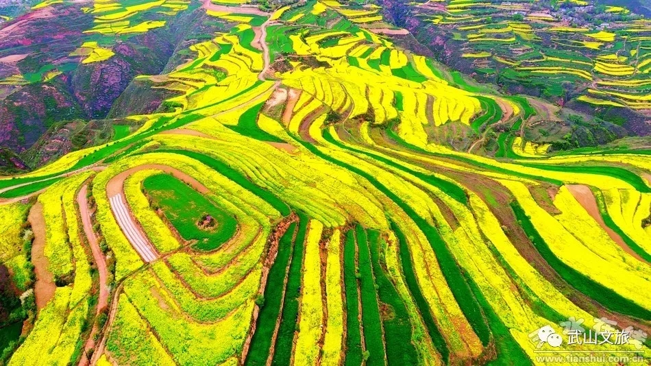 武山:人勤春早 文旅融和发展生机盎然