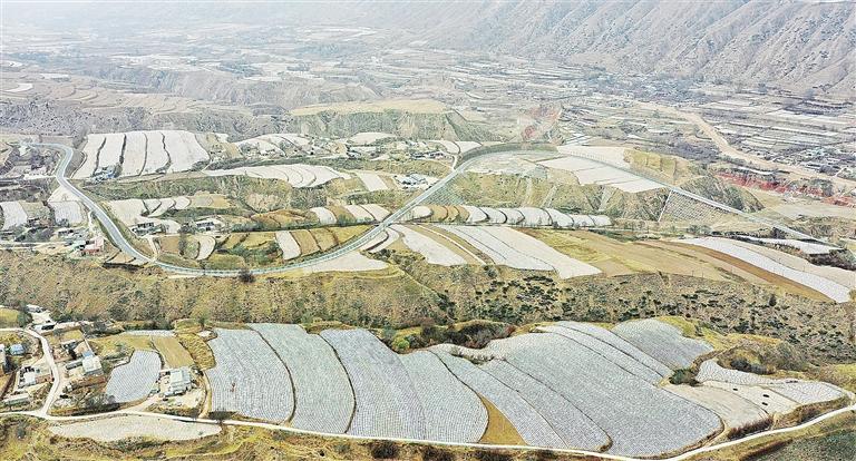 临夏州永靖县积极抢抓农时给土地覆膜保墒