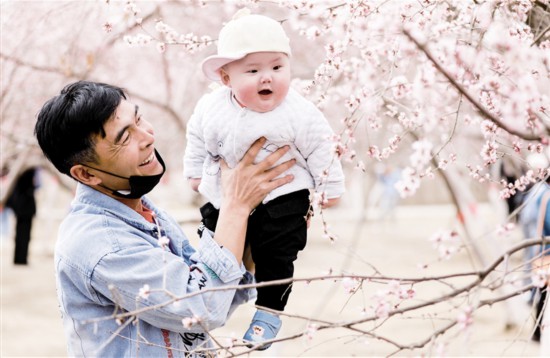 桃花满枝