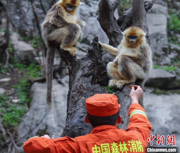 王博悟 摄 王博悟 摄