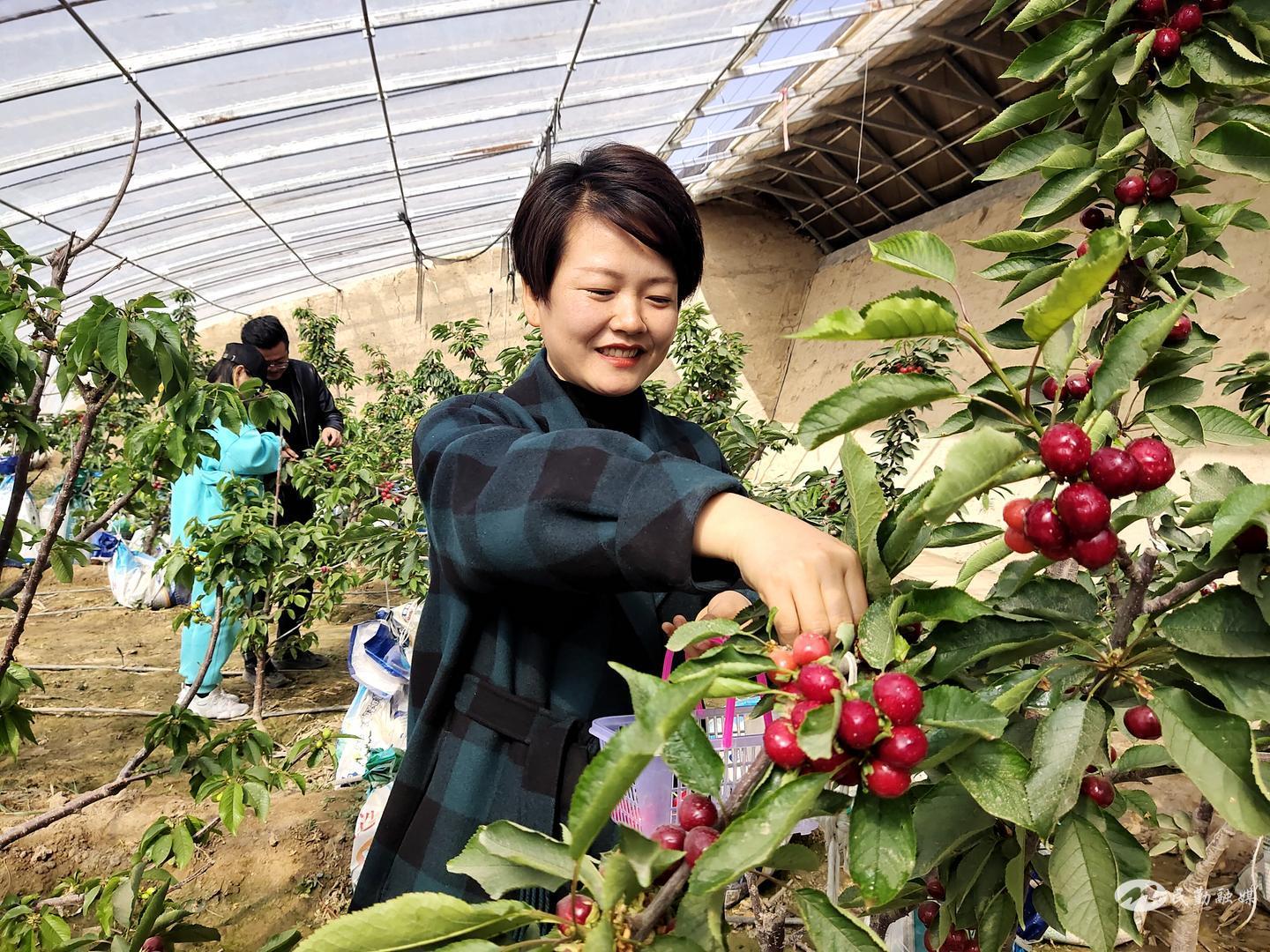 甘肃民勤:全域旅游描绘“诗与远方”