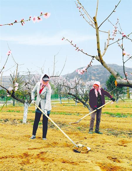 【生态聚焦】平凉泾川：构建生态新景观