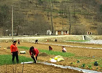 甘肃：河东多阴雨影响春耕春播