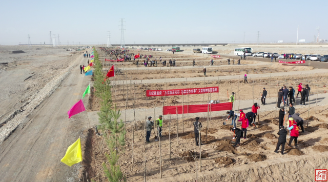 酒泉市领导参加肃州区春季义务植树活动