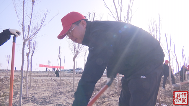 酒泉市领导参加肃州区春季义务植树活动