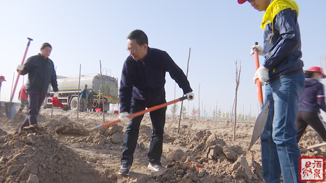 酒泉市领导参加肃州区春季义务植树活动