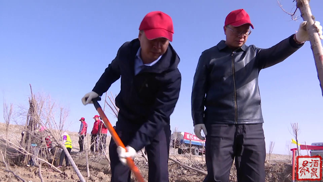 酒泉市领导参加肃州区春季义务植树活动