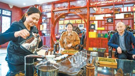 小江南里“金叶”香——从李子坝看文县茶叶产业的壮大之路
