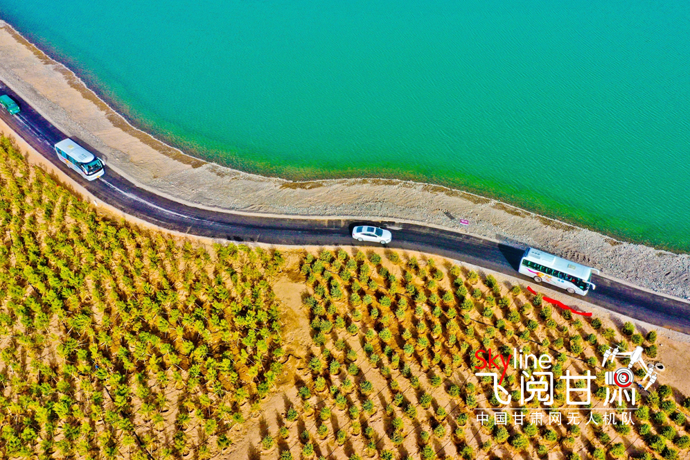 【飞阅甘肃】甘肃张掖：万人植树描绘春季最生动风景