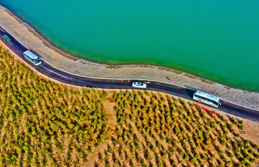 【“飞阅”中国】甘肃张掖：植树造林 美化家园