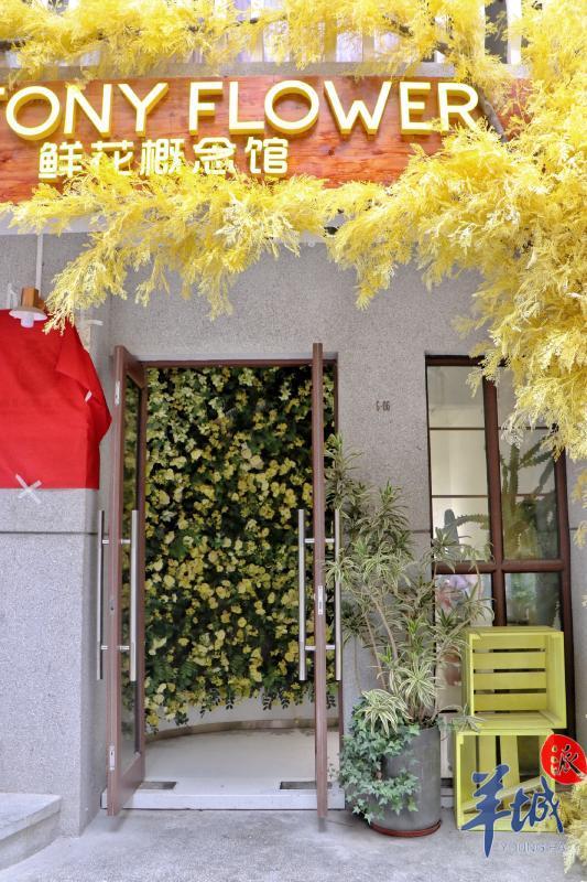 大湾区 大未来｜新潮又古老！年轻的深圳竟藏着一座千年古城