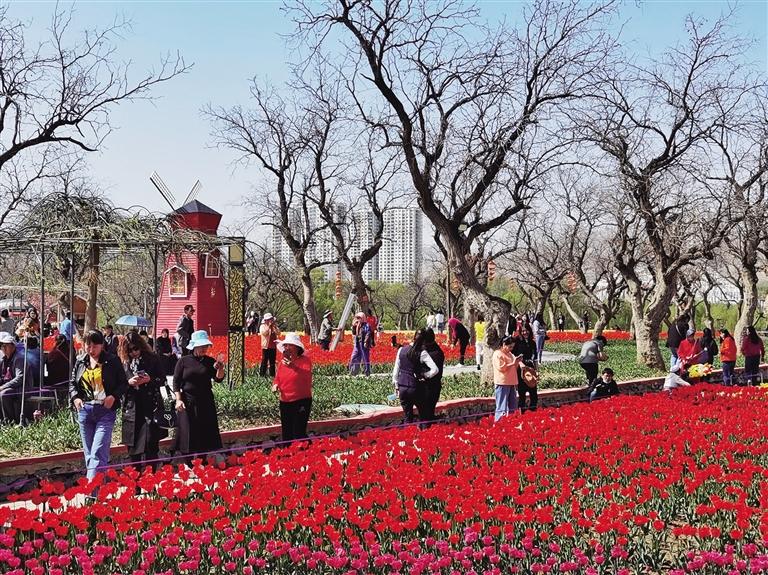 兰州后花园 永靖花海潮