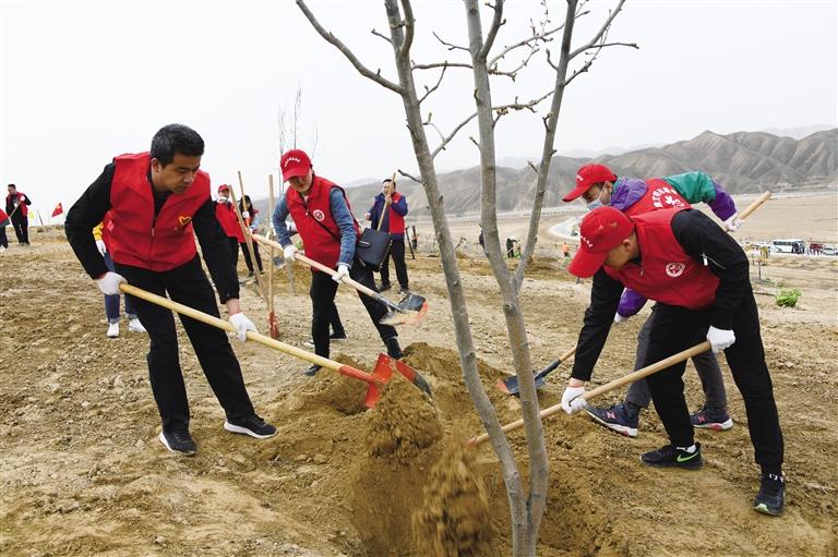 甘肃省委组织部在新区开展义务植树暨文明创建主题党日活动
