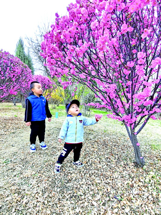 白银：最美铜城四月天 百花烂漫春意暖