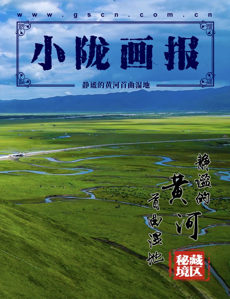 【小隴畫報·115期】藏鄉秘境：靜謐的黃河首曲濕地