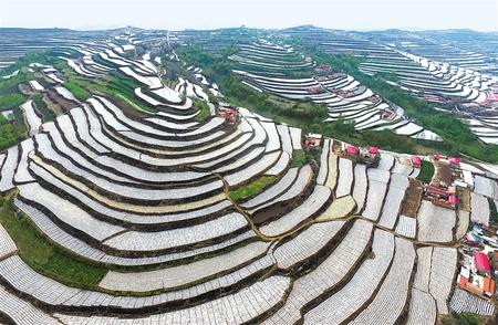 临夏州广河县农民抢抓农时开展春播春种