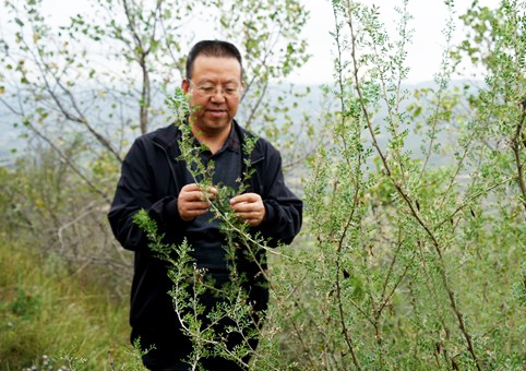 六十年坚守换颜色 不让泥沙入黄河