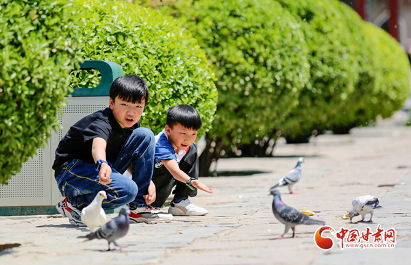 【陇拍客】甘肃兰州：游客饱览黄河风情