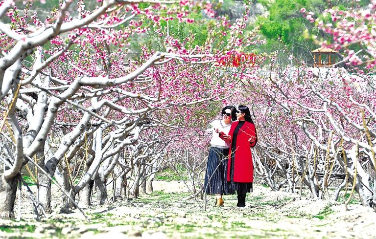 临夏州各县市多个旅游景区景点游人如织