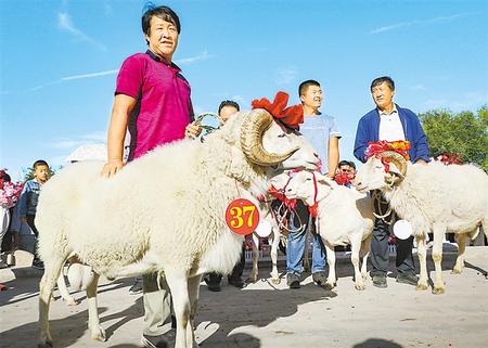 《无极五注册开户_【伟大奇迹中的甘肃印记——甘肃脱贫攻坚纪实】产业扶贫 稳定增收》